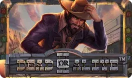 Dead or Alive 2 by NetEnt – Slots Charm Casino