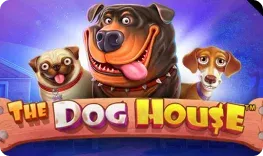 The Dog House by Pragmatic Play – Slots Charm Casino